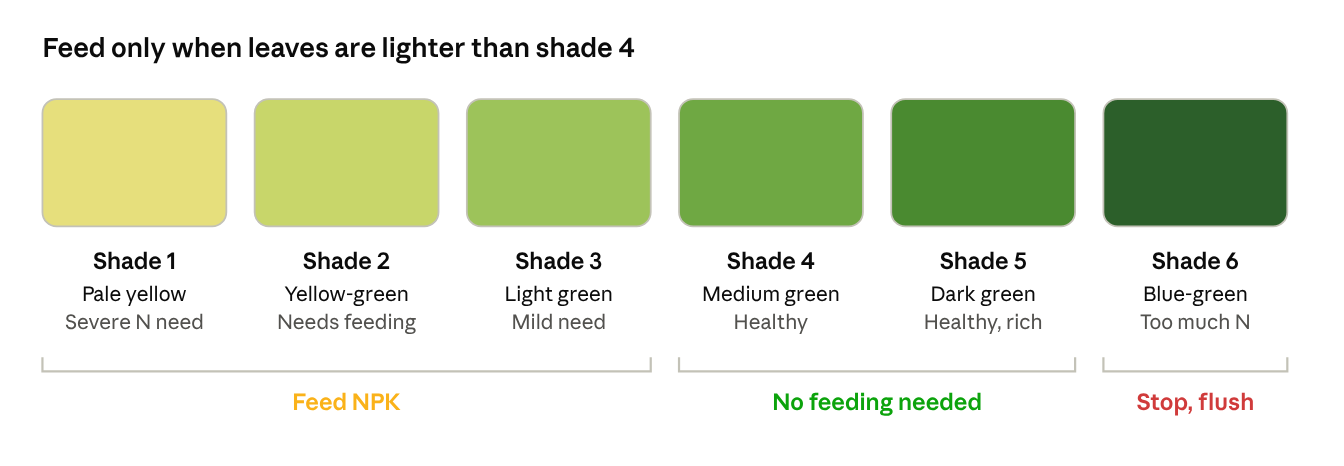 Leihaao six-shade leaf colour chart